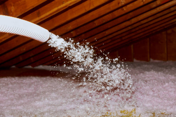 Best Affordable Insulation Services  in Hatch, NM