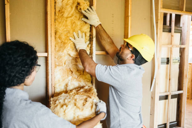 Best Insulation Removal  in Hatch, NM